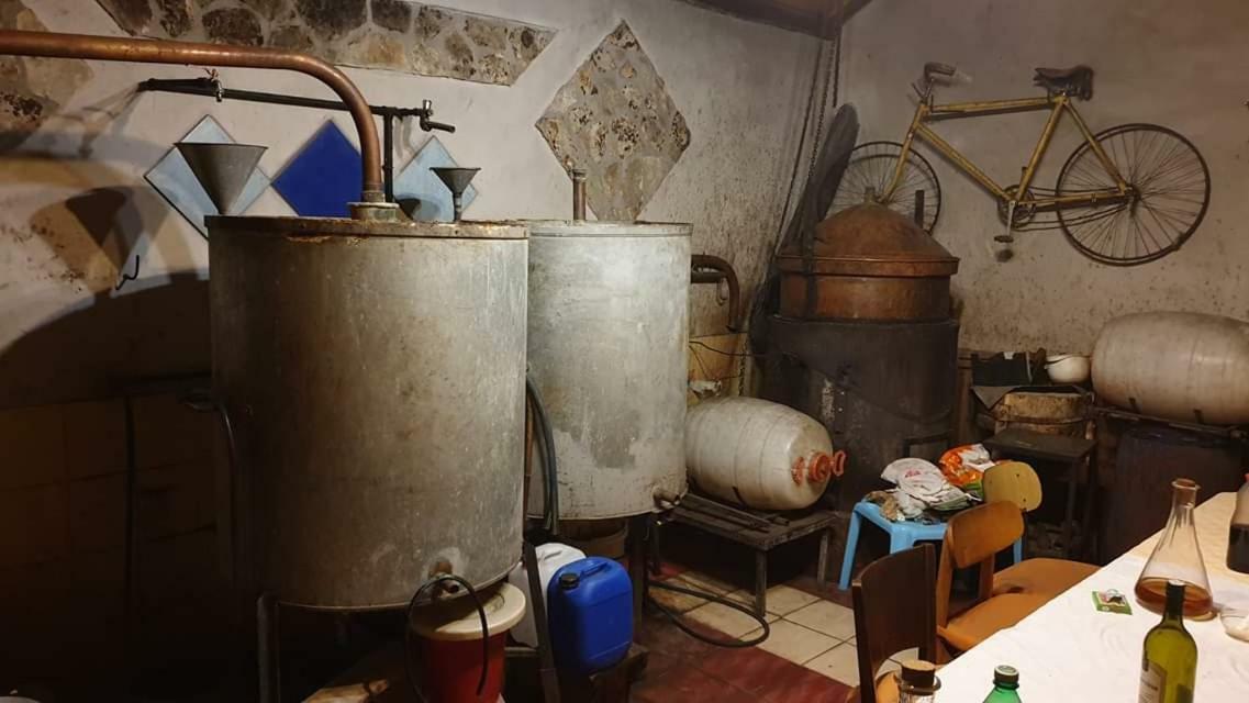 apartman Bruna Sibenik Bagian luar foto